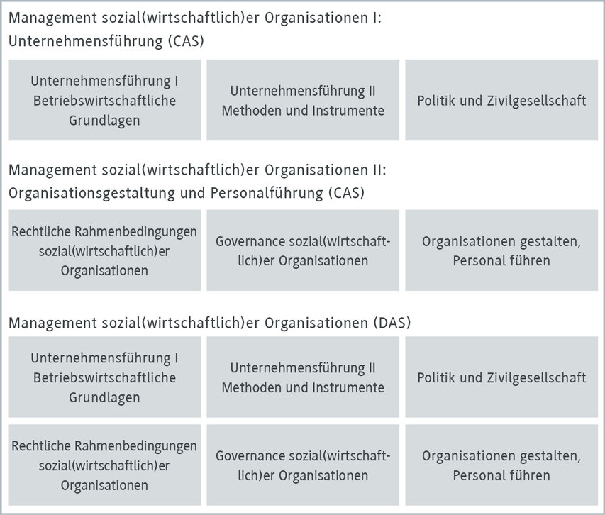 Management sozialer Organisationen und Unternehmensführung