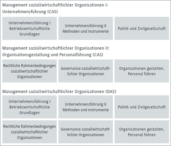 Management sozialer Organisationen und Unternehmensführung