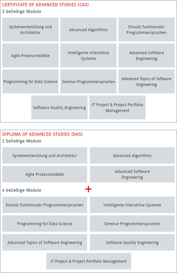 Studiengang für Software Engineering und Programmierung
