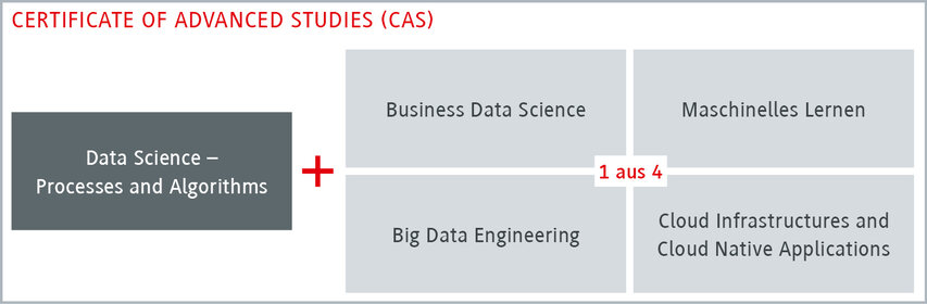 Zertifikat für fortgeschrittene Studien im Bereich Data Science