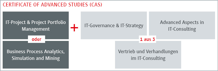 Zertifikat für fortgeschrittene Studien im IT-Bereich