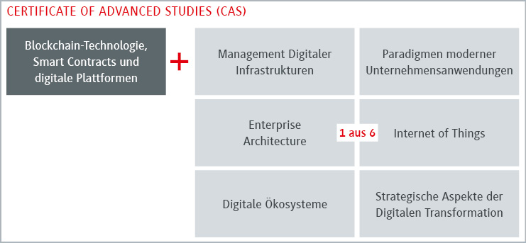 Zertifikat für fortgeschrittene Studien in digitaler Transformation