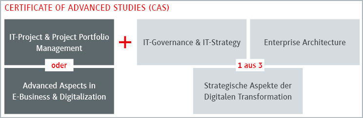 Zertifikat für Fortgeschrittene Studien im IT-Management