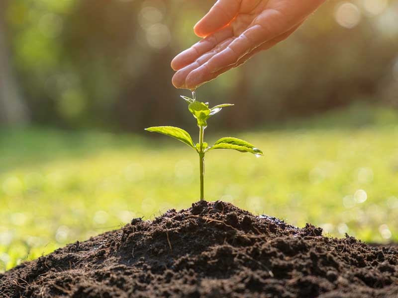 Nachhaltige Gestaltung der Transformation