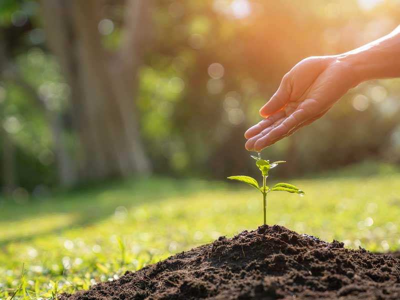 Sustainability